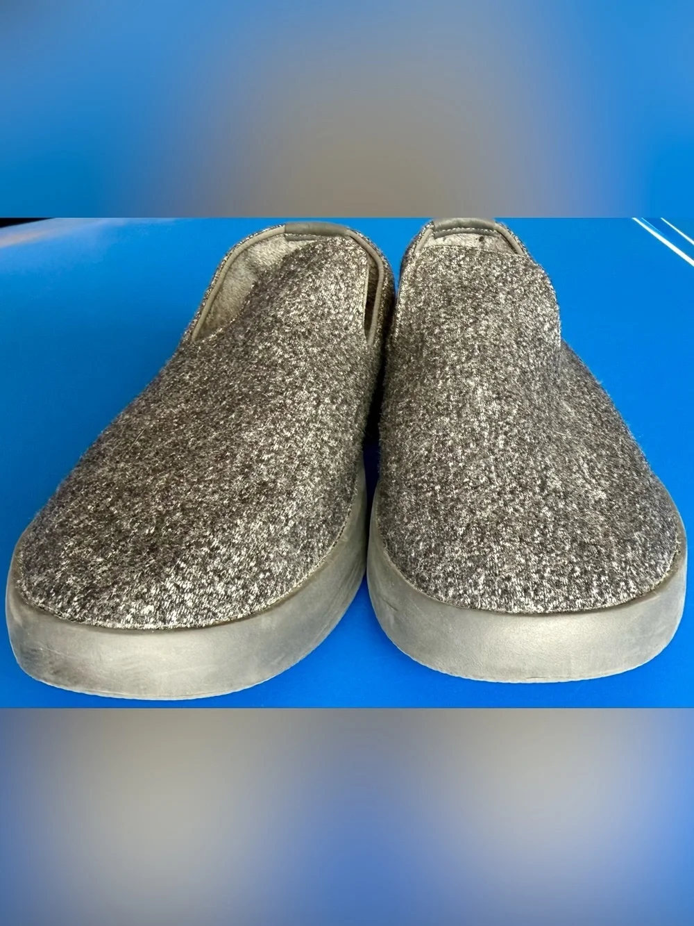 allbirds comfort meets